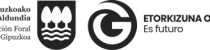 Logo_DIpu